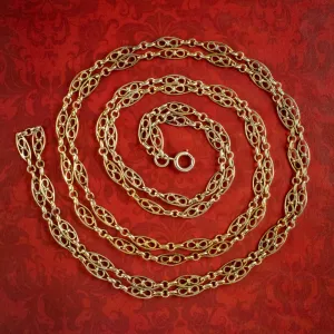 Antique Edwardian French Guard Chain Silver Gold Gilt
