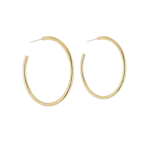 Classic Gold Hoops