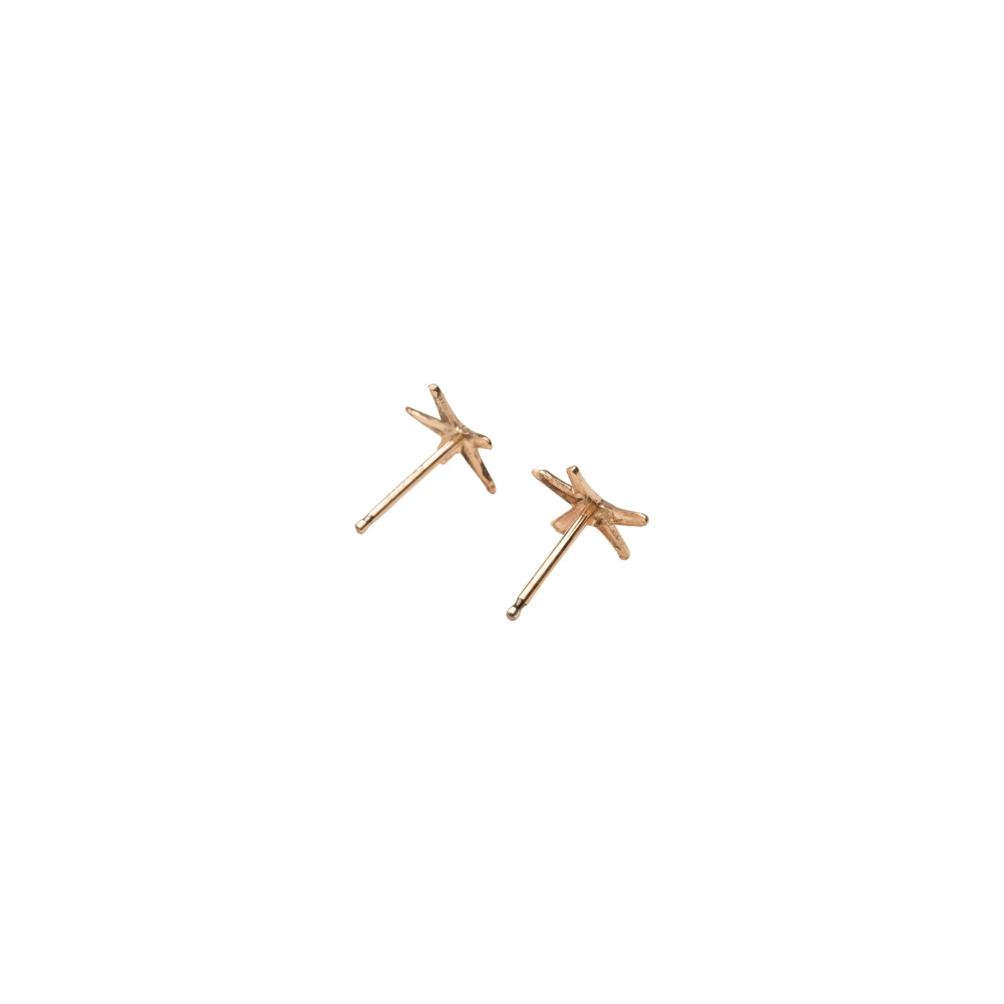 Gold Filled Starfish Stud Earrings