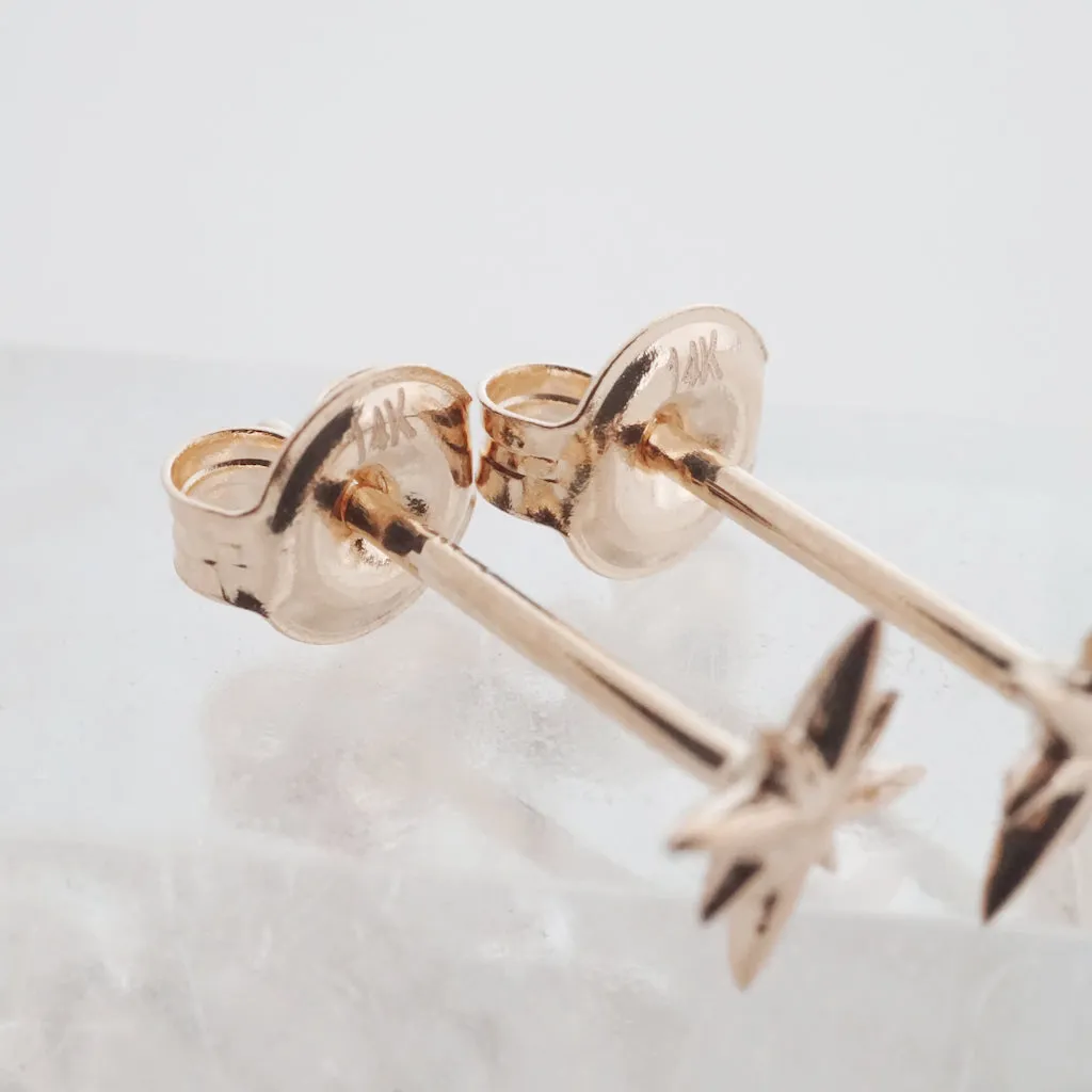 Mini Starburst Studs, 14k Gold