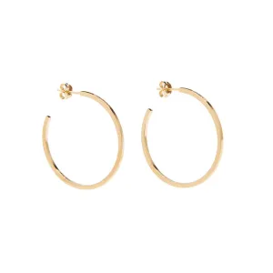 Noor Hoops